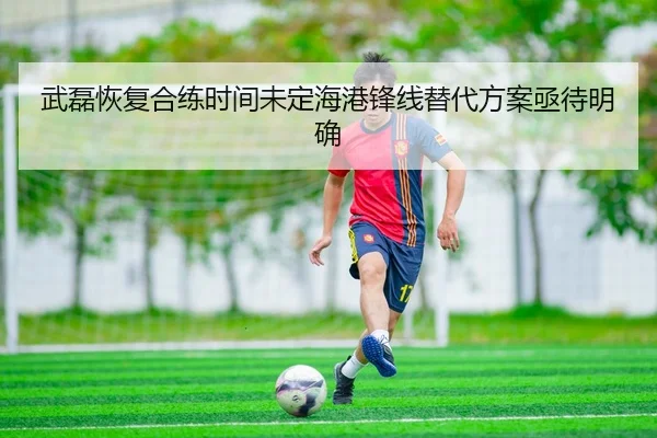 武磊恢复合练时间未定海港锋线替代方案亟待明确